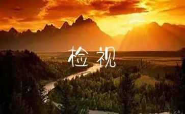 自检自查总结报告5篇