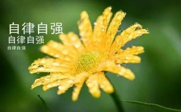 有关于自强不息的演讲稿6篇