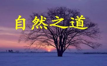 《自然之道》教案5篇