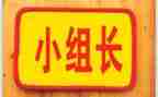 教学组长工作总结7篇